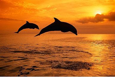 《死亡回归》风格新作《Saros》将在今年公布更多细节